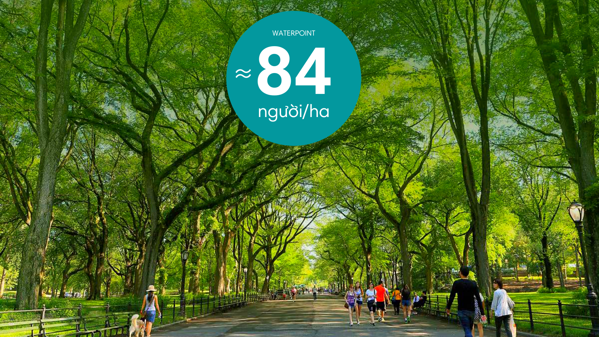 waterpoint-nam-long-3